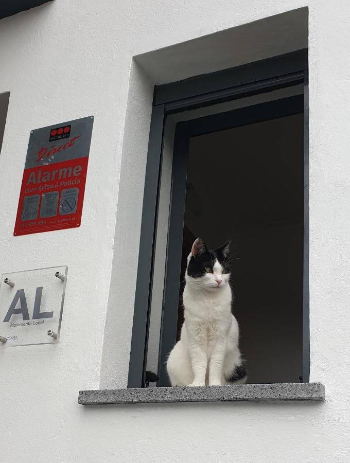 Caminhos Nos Levam Pela Ilha Apartment Ponta Delgada (Sao Miguel)