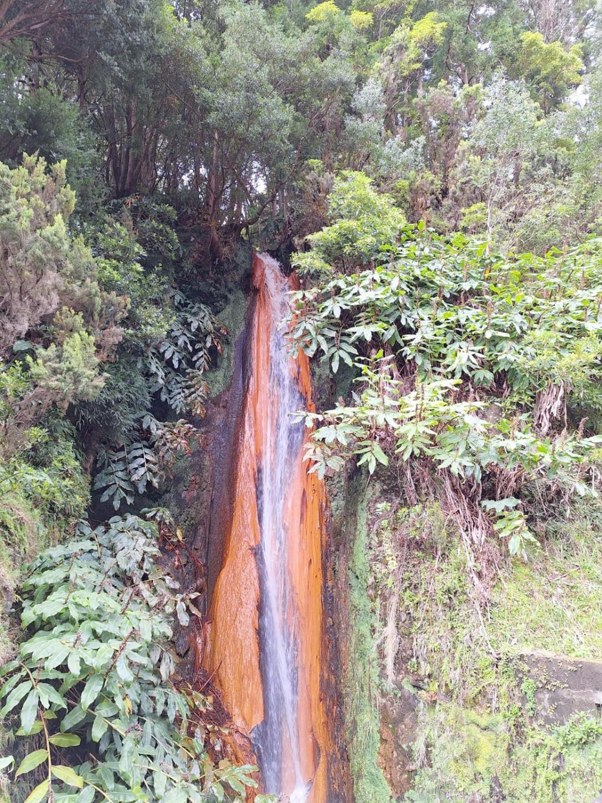 Caminhos Nos Levam Pela Ilha *